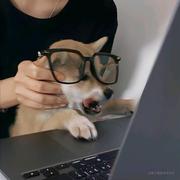 Hhh的个人资料头像