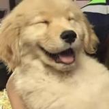 上进的星星NA头像