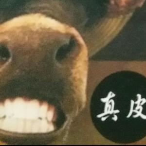 盛海港头像