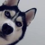 用户2726475685792头像