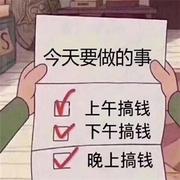 找月亮的人的个人资料头像