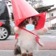 Anm半夏的个人资料头像