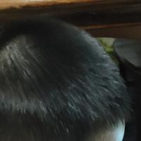 顶级冰淇淋辉仔头像