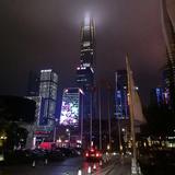 鲨鱼哥720头像