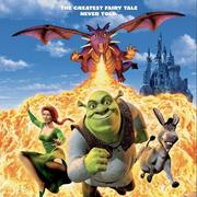 浪不到头的个人资料头像