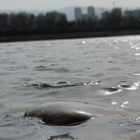 1如既往161576383头像