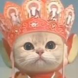 总不能没争取就妥协头像