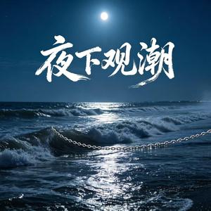 夜下观潮