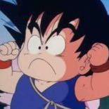 lizx的个人资料头像