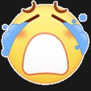 枢璇的个人资料头像