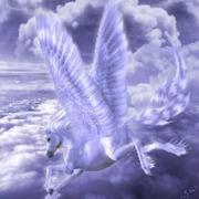 String515的个人资料头像