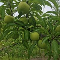 用户6571075297293头像