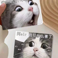 小邓子爱玩车头像