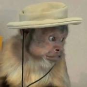 bin酱的个人资料头像