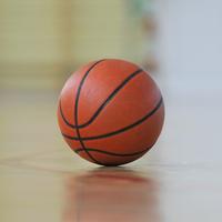 睿智花猫uf头像