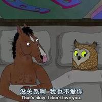 Shanelv头像