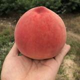 大家好123hhj头像