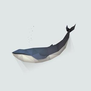 汤先生的漂流鲸头像