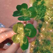 晴相依的个人资料头像