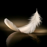 汽车年审问题头像