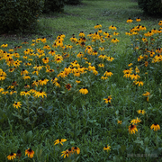 向上一笔的个人资料头像