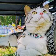 chen381的个人资料头像