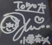 浣熊栗子的个人资料头像