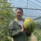 水果仓头像