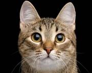 用户17777的个人资料头像