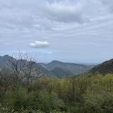 cd两个点头像