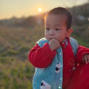 刘城的个人资料头像