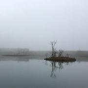 aserio的个人资料头像