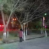 西北人963头像