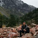高山雪松363头像