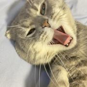 用户9122495096696的个人资料头像