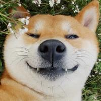 小弟王宝头像