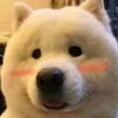 天行健同志56480的个人资料头像