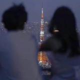 呆呆的阿蔡头像