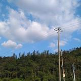 伍小六头像