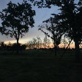 一天只花一块钱头像