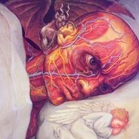 落地开花517头像