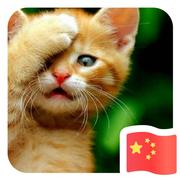 回眸557的个人资料头像