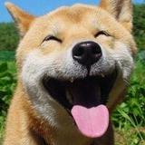 Iamwhatiam38223297头像