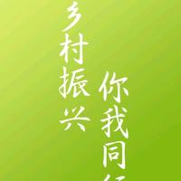 乡村振兴探索者头像