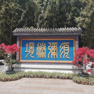 玫菜扣肉在旅行（收徒）头像