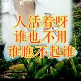 陌路花开99头像