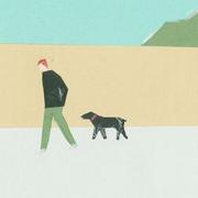 Nice230的个人资料头像