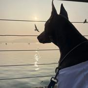 三角636的个人资料头像