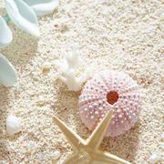 亦彤的个人资料头像