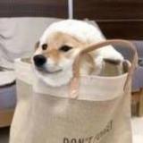 丿Michael丿头像
